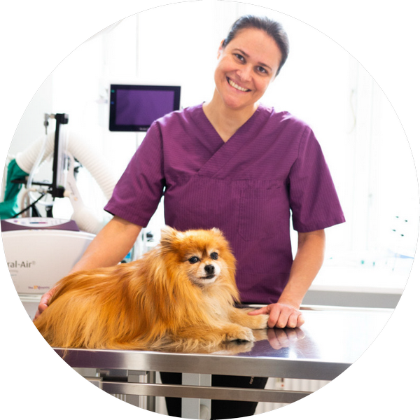 Tierärztin Dr. Sabine Förderer